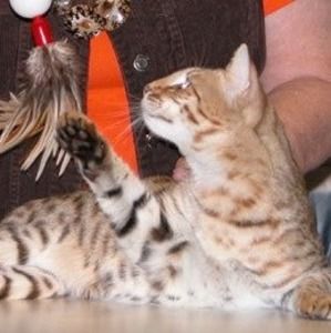 Meet your Posher, Carol